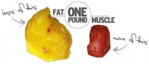 muscle_vs_fat